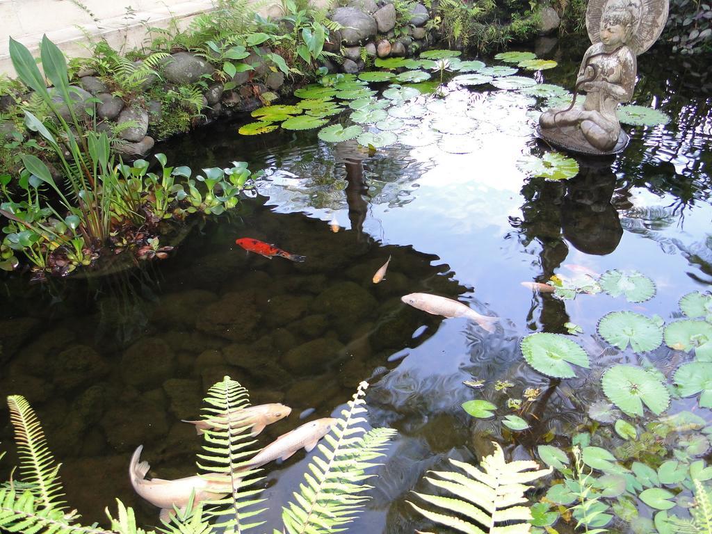 펜기냐한 Heaven In Bali 아파트 외부 사진