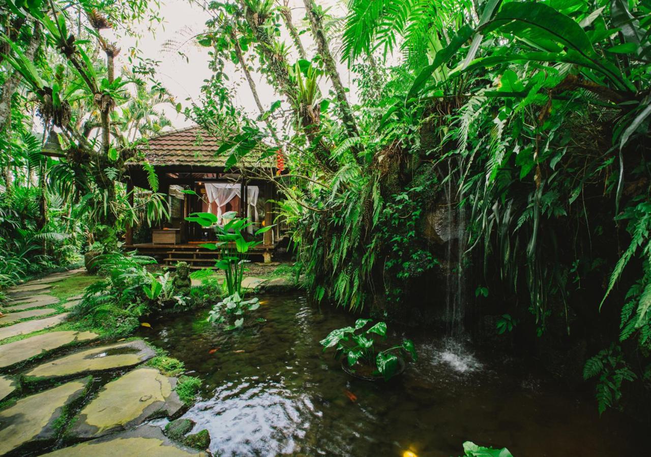 펜기냐한 Heaven In Bali 아파트 외부 사진